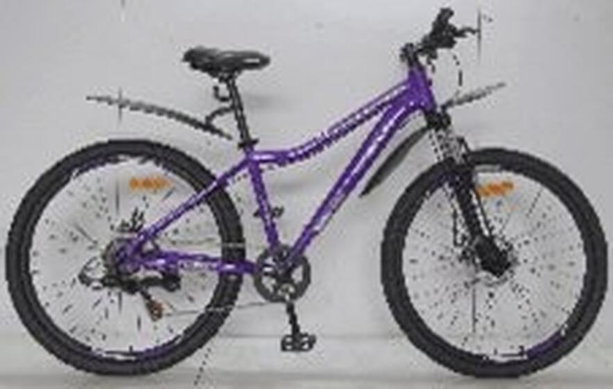 Велосипед 26 " Nameless J6100DW,фиолетовый 15