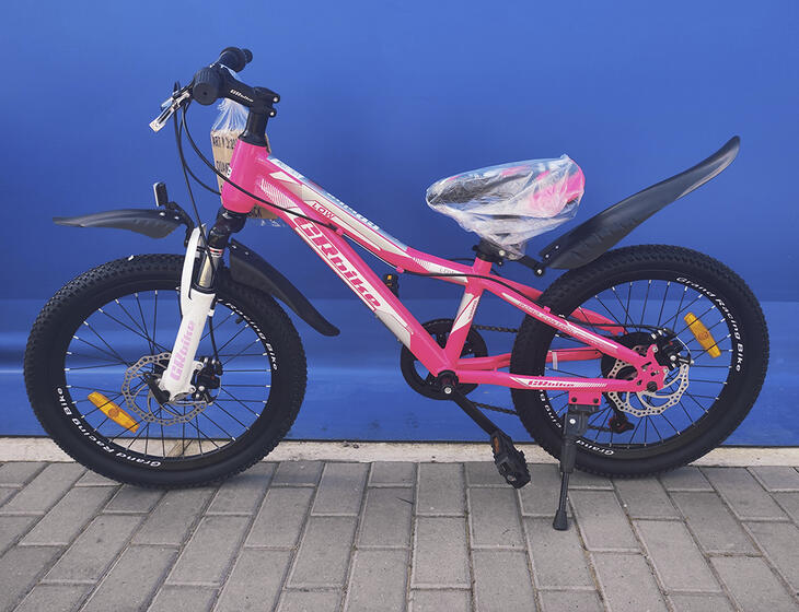 Велосипед 20"GRbike Low(10" розовый) (G20LWDCR10) crimson, disk
