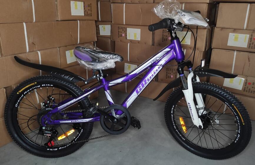 Велосипед 20"GRbike Low(10"фиолетовый) (G20LWDPU10) purple, disk